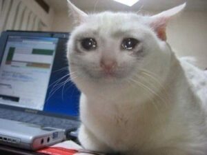 Sad-cat