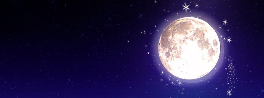 Luna the Moonlight Fox