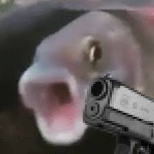 IamAFish